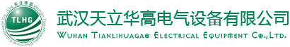 這是關(guān)于武漢天立華高電氣設(shè)備有限公司的logo圖片，歡迎大家來(lái)公司網(wǎng)站！